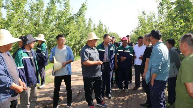 张掖试验站（场）组织开展半年工作自查及2025年度第二次果园生产检查