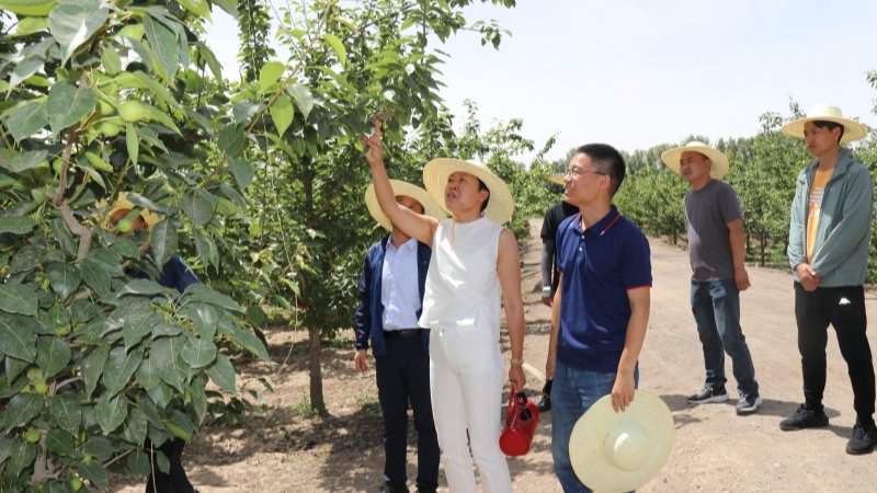 国家苹果产业技术体系病虫害研究室各岗位专家一行赴张掖试验站（场）考察调研
