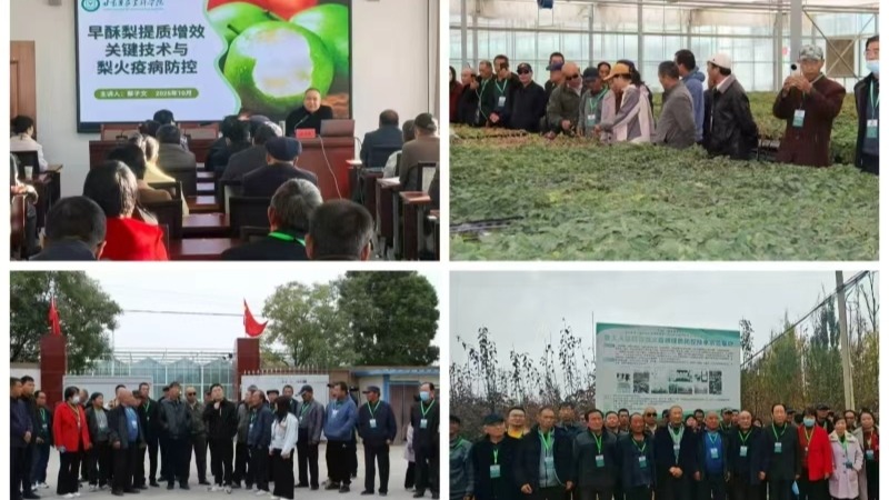 民乐县乡村振兴学院林果栽培技术专题培训班学员到张掖试验站（场）观摩学习