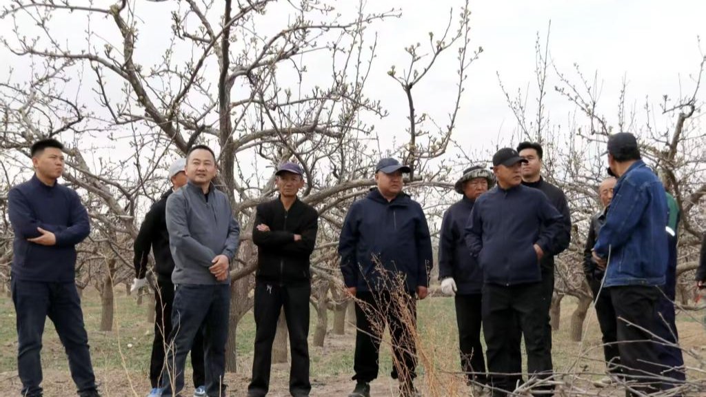 张掖试验站(场)开展2026年度第一次生产检查