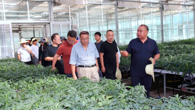 兰州大学草业科技学院王锁民教授一行赴张掖试验站（场）考察交流