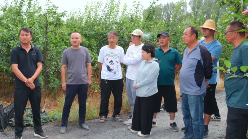张掖试验站（场）组织开展2025年第三次果园生产检查